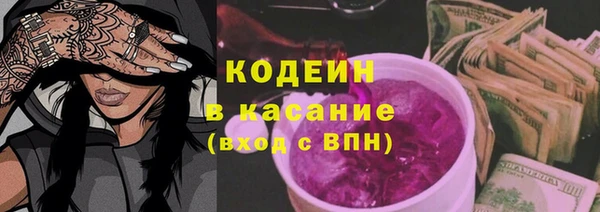 гидра Инта