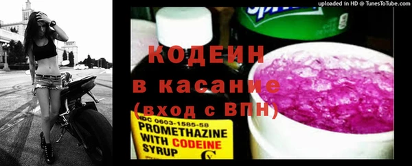 прущий лед Каменка
