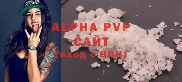 гидра Инта