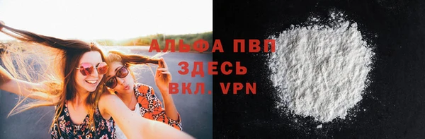 apvp Инсар