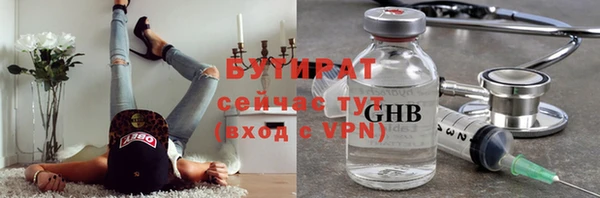гидра Инта