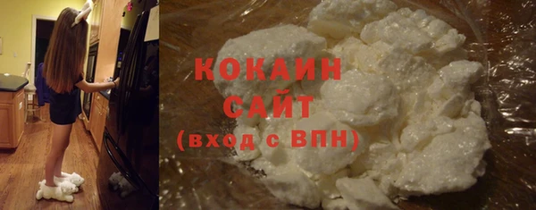 прущий лед Каменка