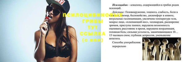 apvp Инсар