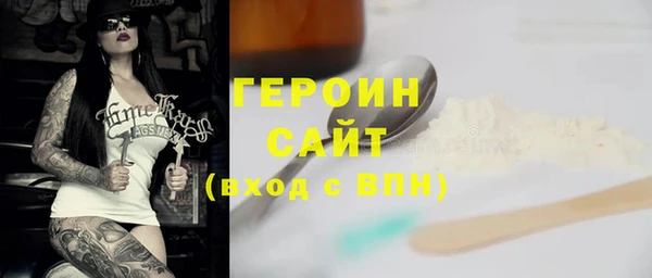 гидра Инта