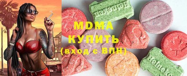 apvp Инсар