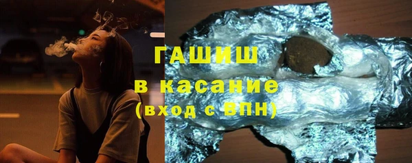 гидра Инта