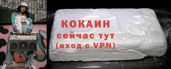 прущий лед Каменка